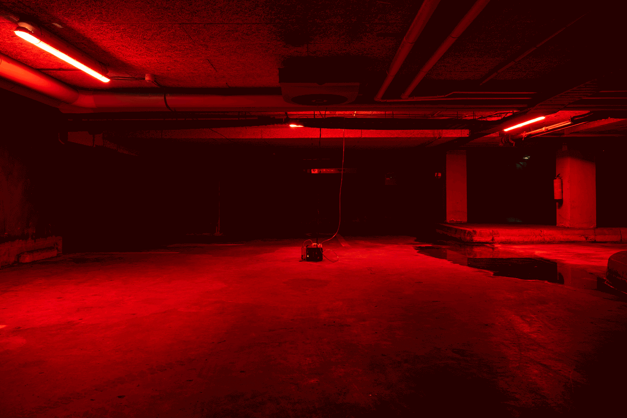 ludovic hadjeras, waiting for foxes, photos by tom janssen, 2023 - 
