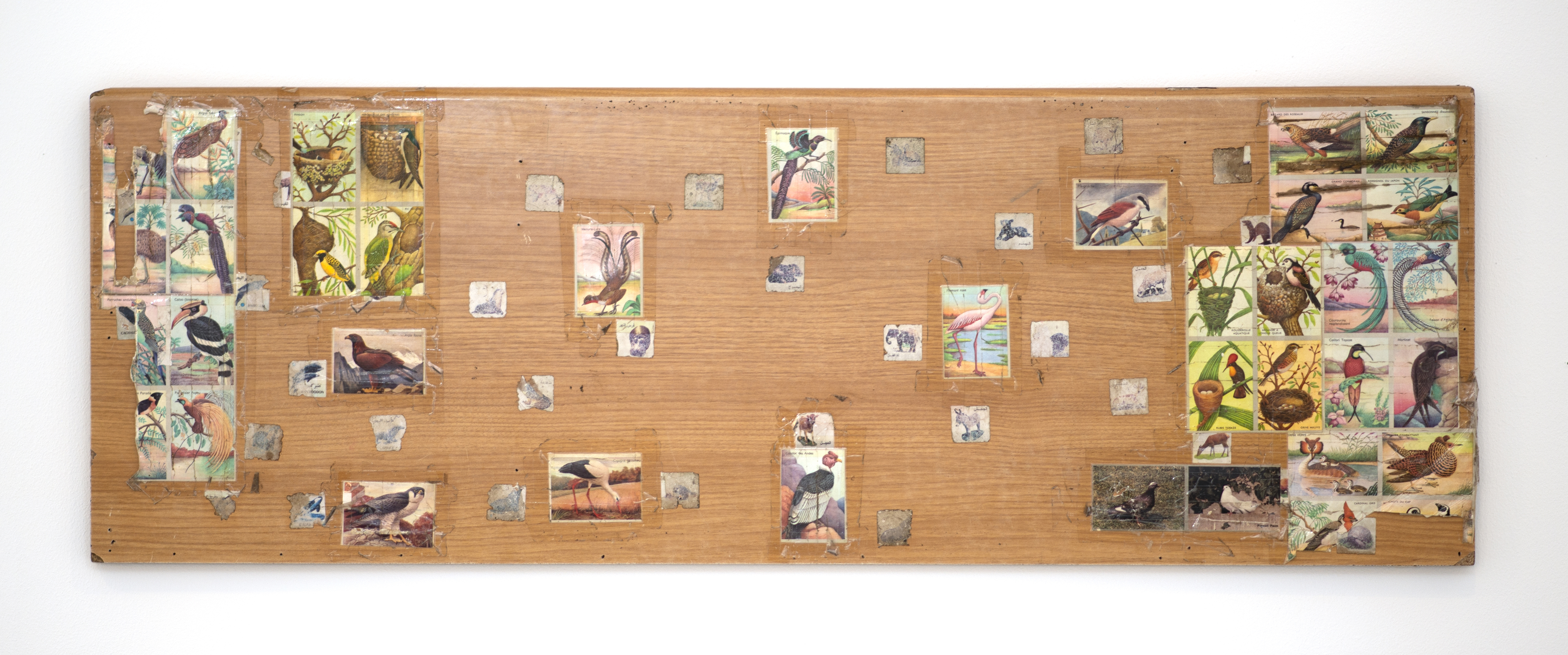 hadjeras, bird's table, 2024