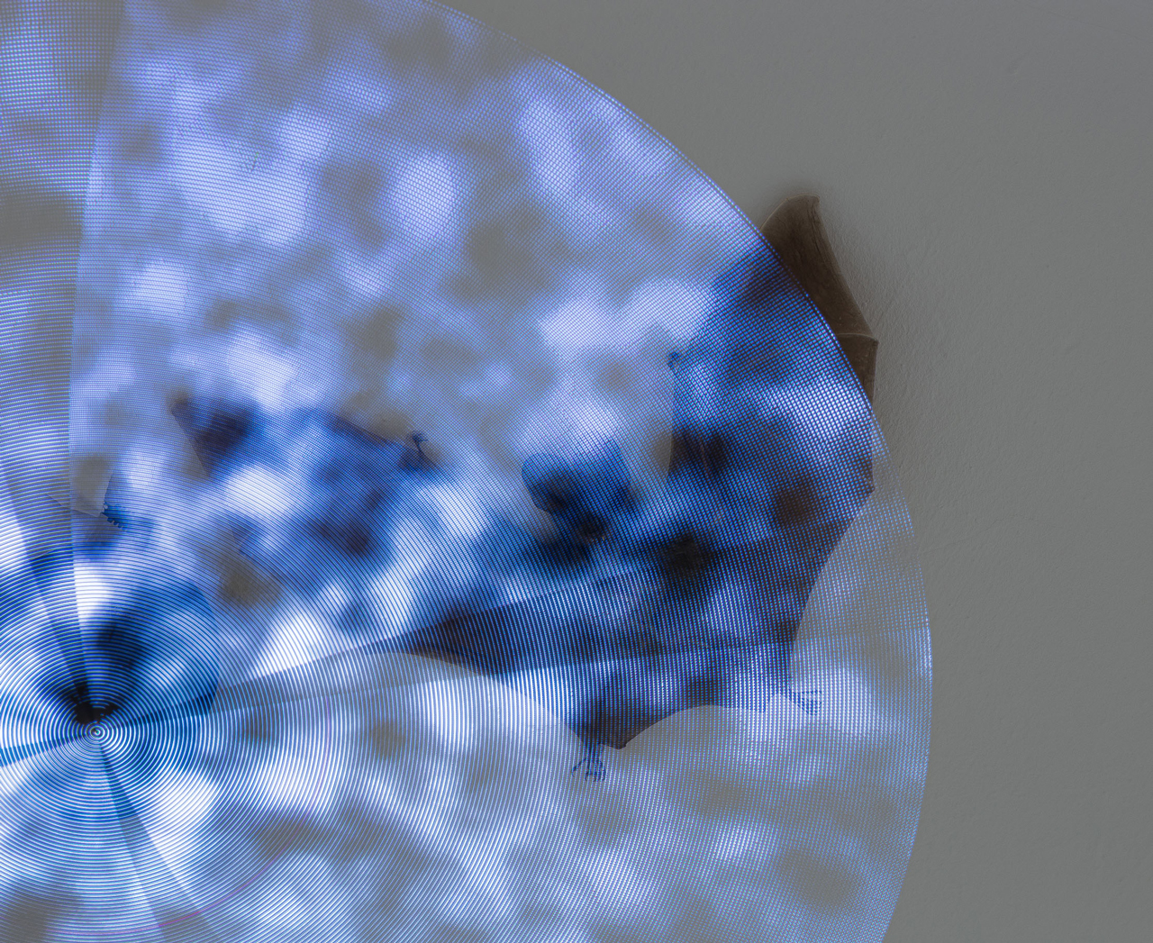 hadjeras, white noise, photo n. berthommé, 2023